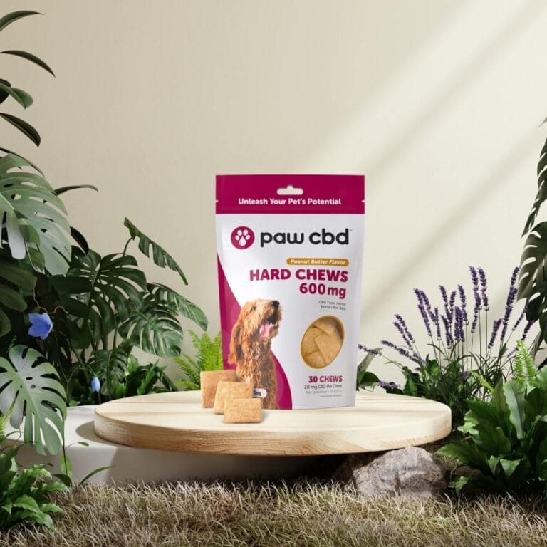 Broad-Spectrum-CBD-Dog-Hard-Chews-3