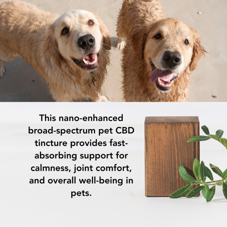 Pet-CBD-Tincture