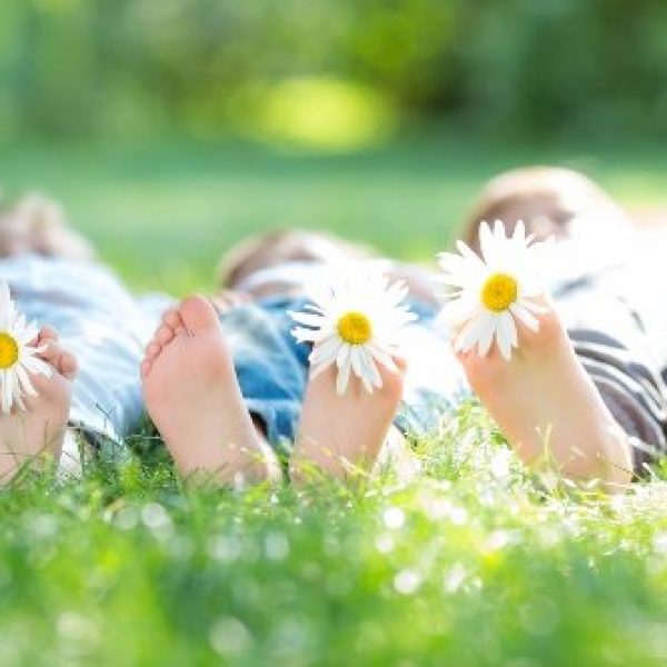 wellness-for-the-whole-family